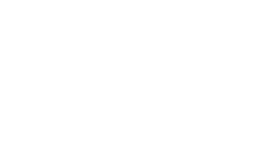 Iron City Gaming Steyr Logo
